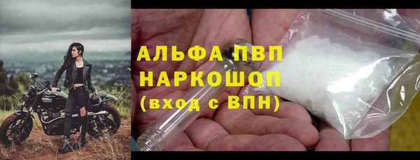 индика Баксан