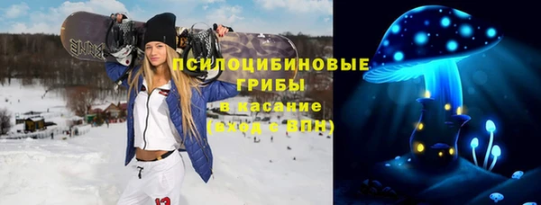ПСИЛОЦИБИНОВЫЕ ГРИБЫ Балабаново