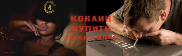 mix Богородицк