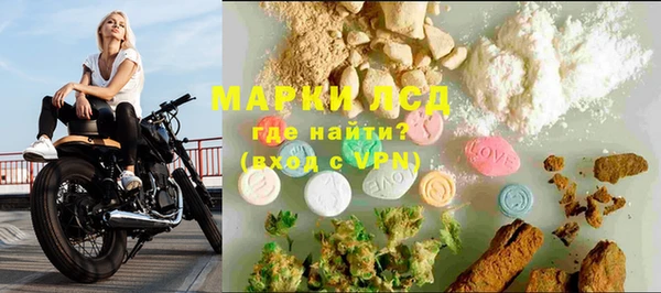 индика Баксан