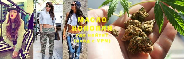 индика Баксан