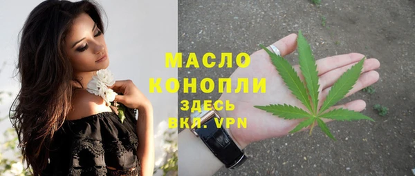 индика Баксан